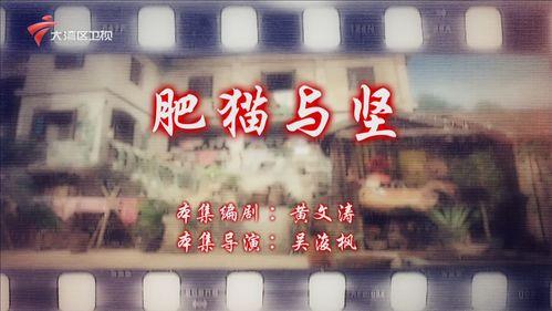 七十二家租客在线观看,温情回忆,笑中带泪的都市生活画卷 第1张 七十二家租客在线观看,温情回忆,笑中带泪的都市生活画卷 第1张